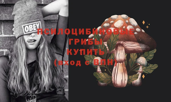 гидропоника Армянск