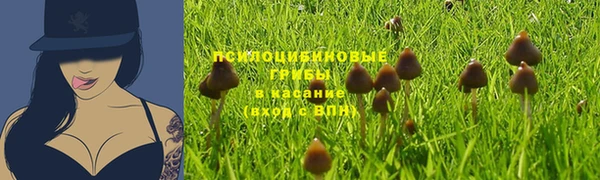 мяу мяу мука Аркадак