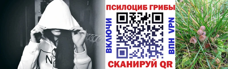 Галлюциногенные грибы мухоморы Партизанск